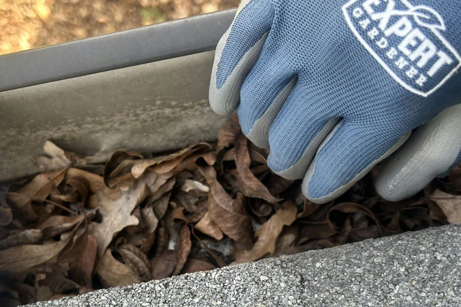 Gutter Cleaning Campbell Acres